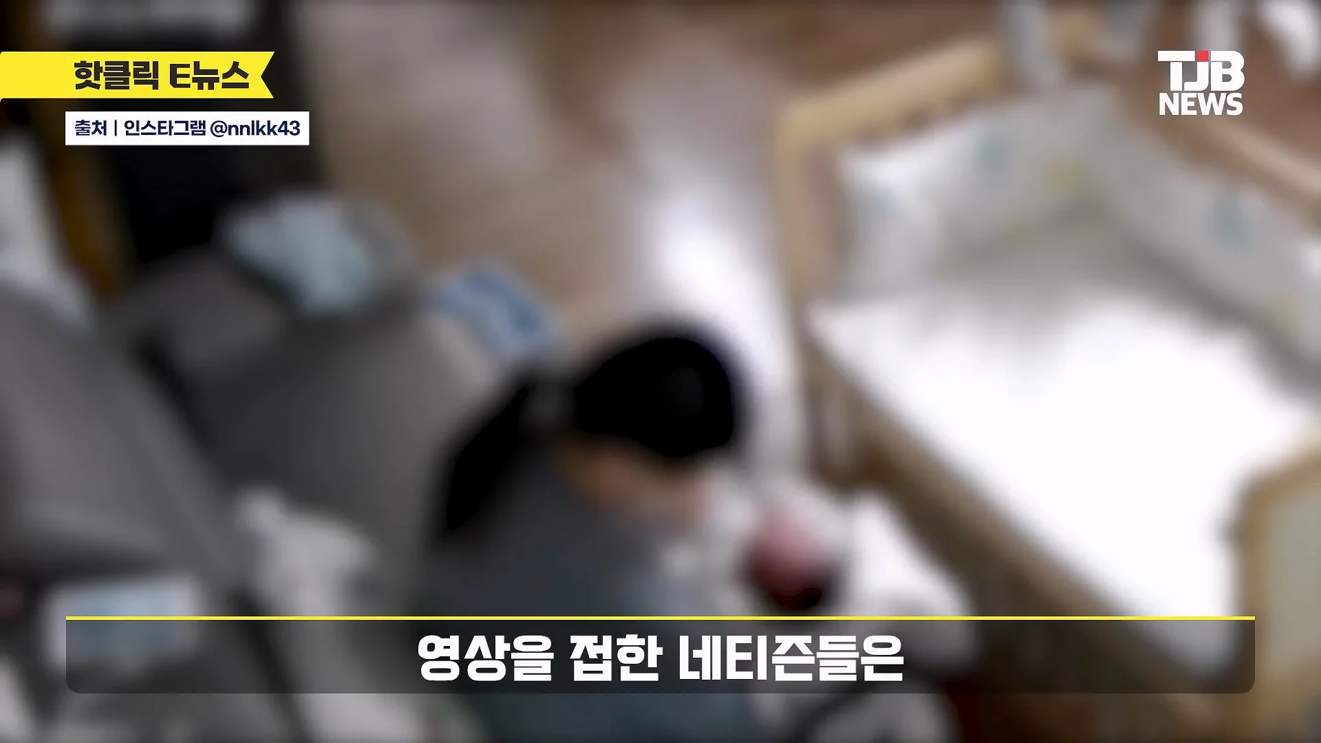 홈캠 돌려본 엄마가 감동한 이유 | 인스티즈