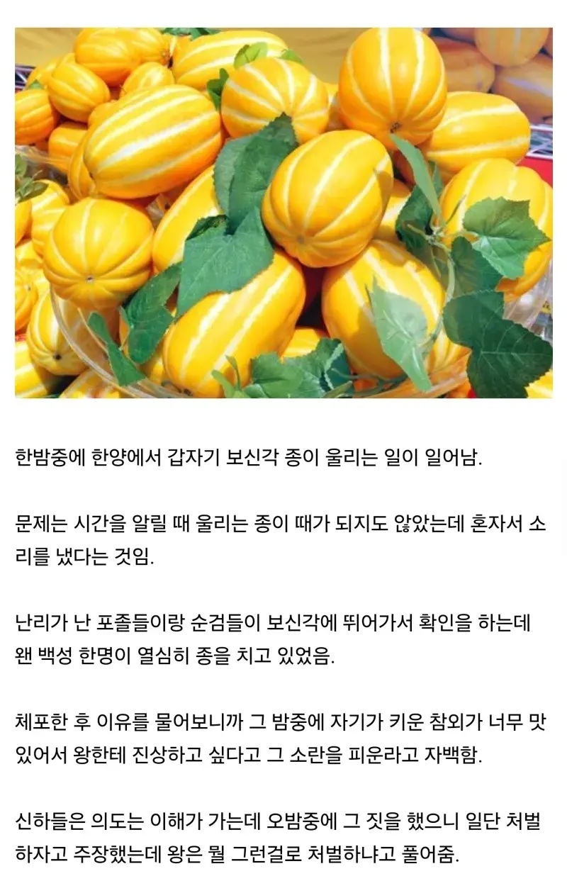 황당했던 조선시대 보신각 사건 | 인스티즈