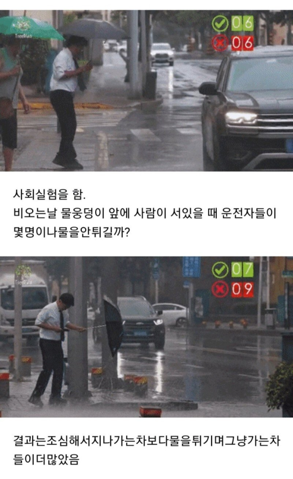 비오는 날 물웅덩이 사회실험 | 인스티즈