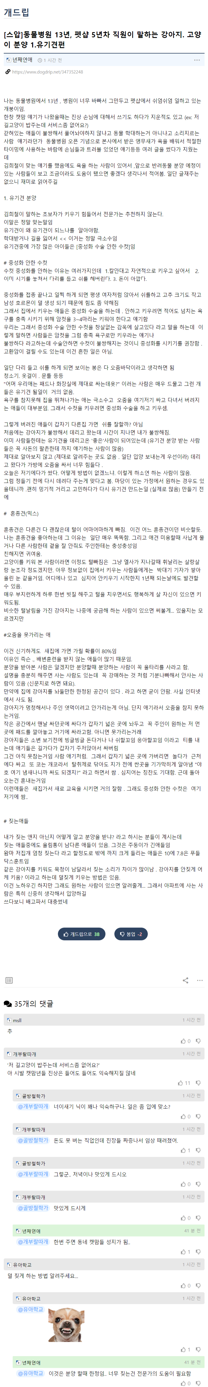 동물병원 13년, 펫샵 5년차 직원이 말하는 강아지. 고양이 분양 1.유기견편 | 인스티즈