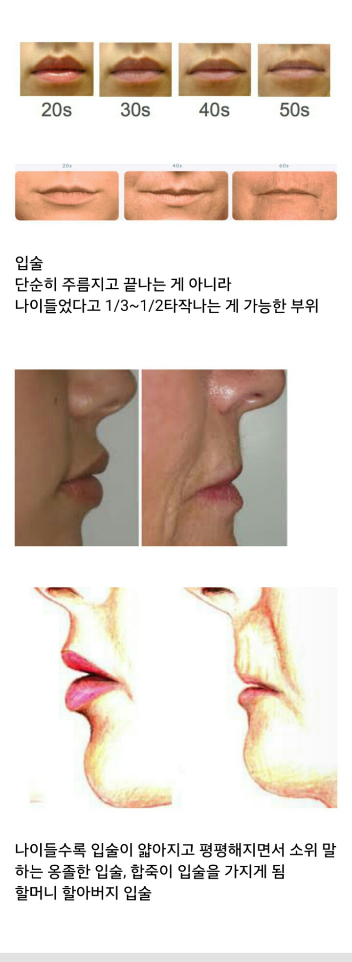 여기가 변하면 늙는게 티가 많이 나는 부위 | 인스티즈