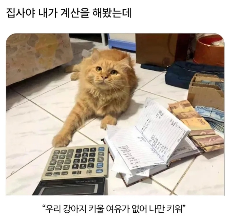 집사야 내가 계산을 해봤는데.. | 인스티즈