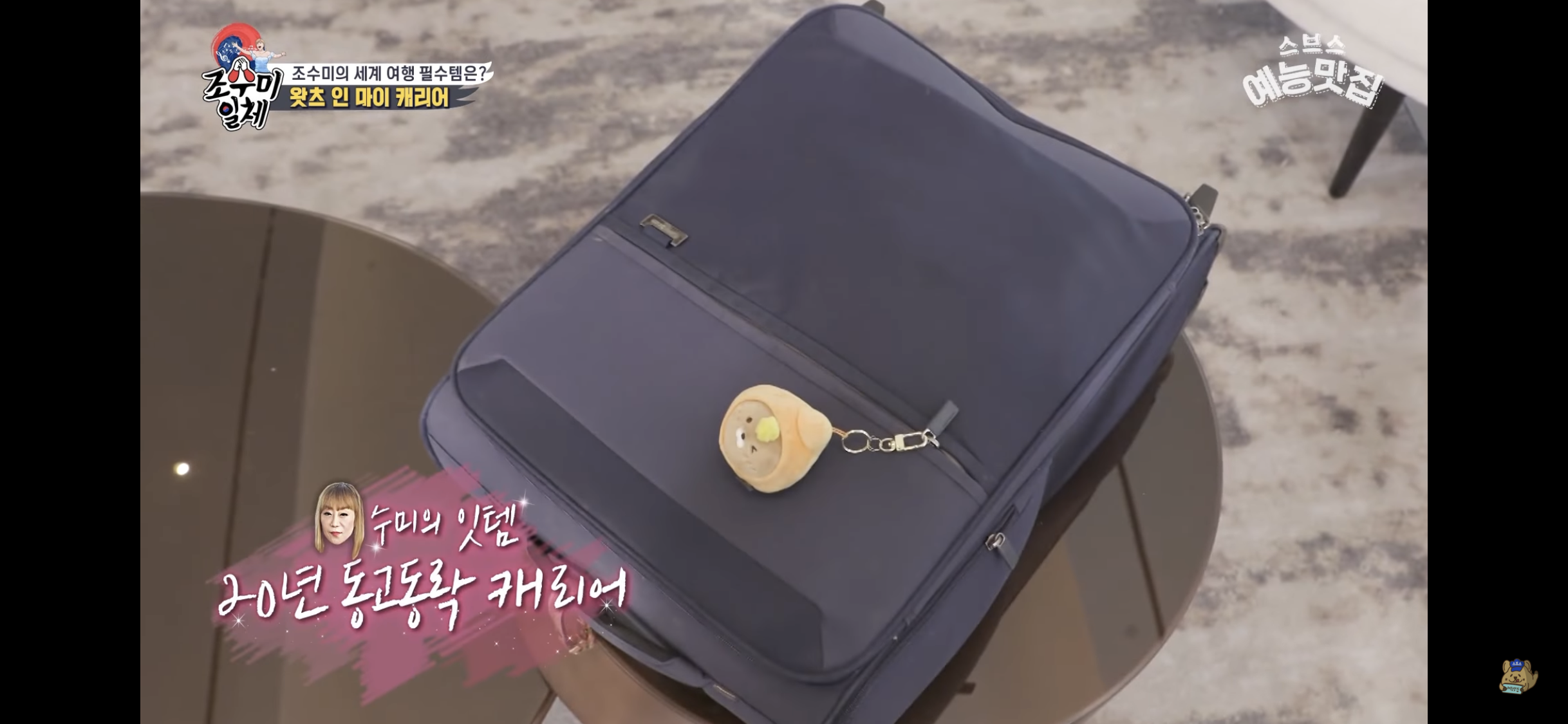 월드클래스 조수미의 여행용 캐리어 🧳 | 인스티즈