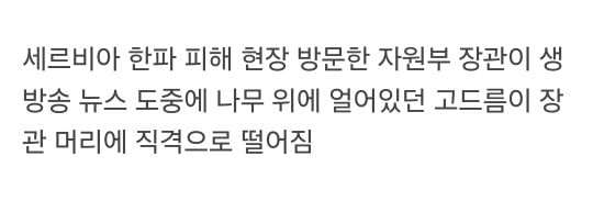 10년 전 안전모의 중요성을 알린 사건 | 인스티즈