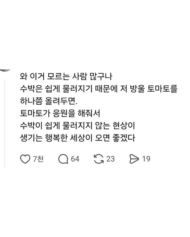 수박과 랩 사이에 방울토마토를 끼워넣은 이유 | 인스티즈