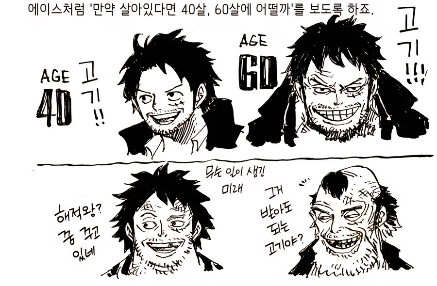 원피스 세계관에서 공식설정이라고 자꾸 오해받는것 | 인스티즈