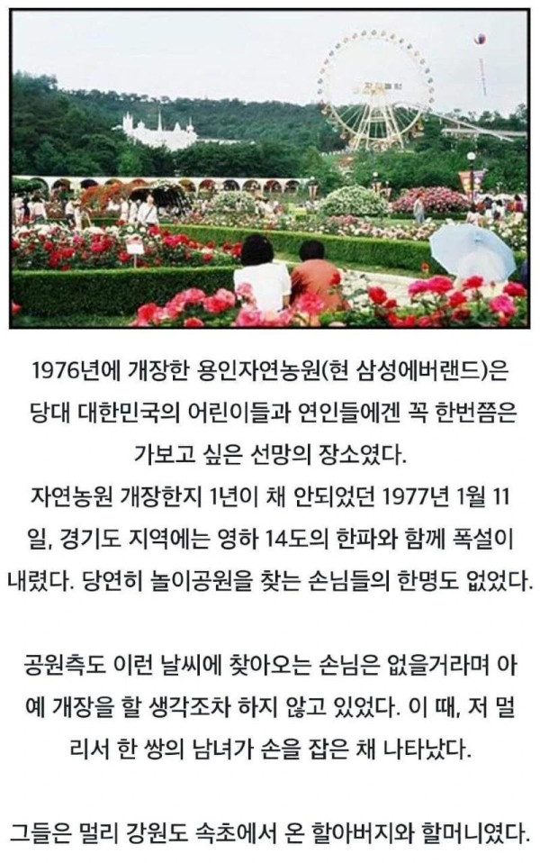 에버랜드 역사상 가장 적은 입장객이 온 날 | 인스티즈