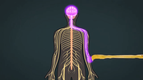 벌레가 기어다니듯이 가려운데 어디가 가려운지 모른다고? 왜? | 인스티즈