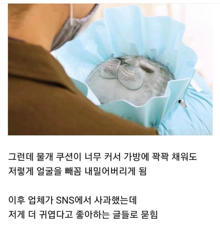 업체가 사과했지만 고객들은 더 좋아했다는 썰 | 인스티즈