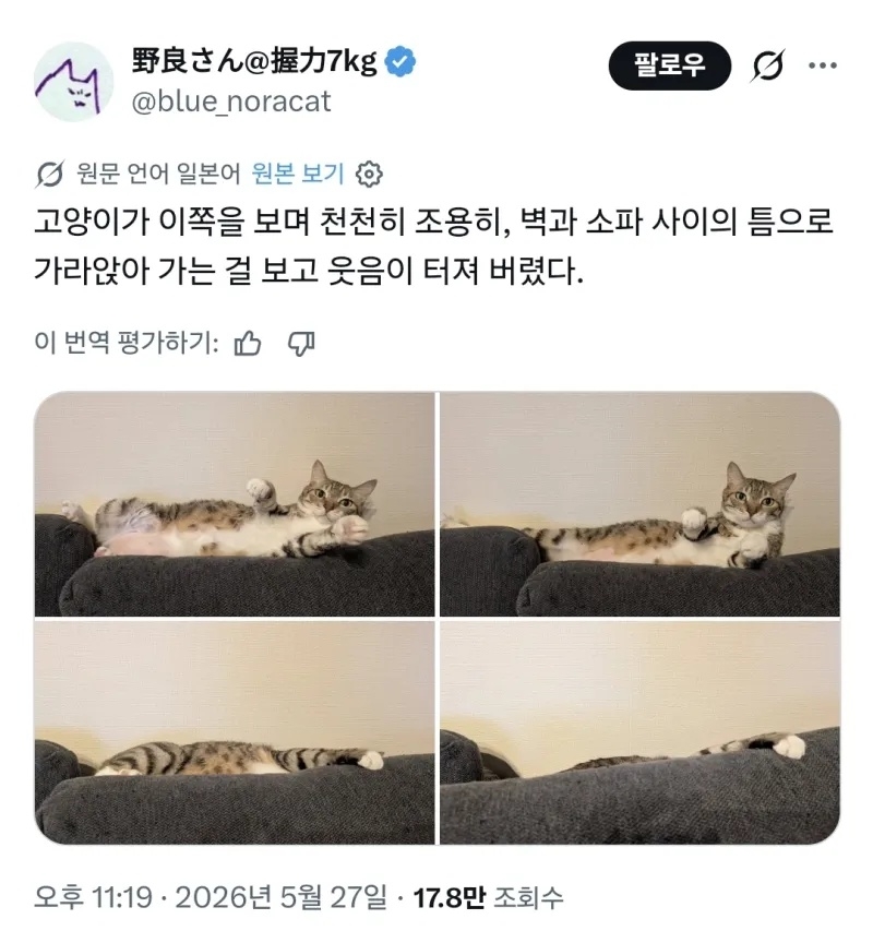 꺼내줘 꺼내딸라구...꺼 ㄴ ㄷ ㄹ.... | 인스티즈