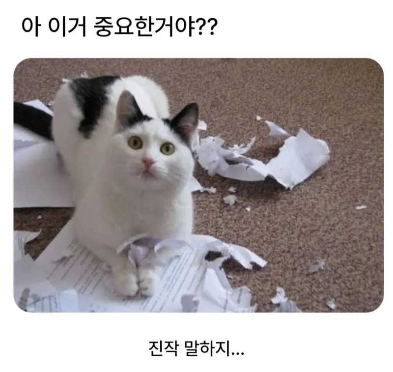 아,,이거 중요한거였어,,, | 인스티즈