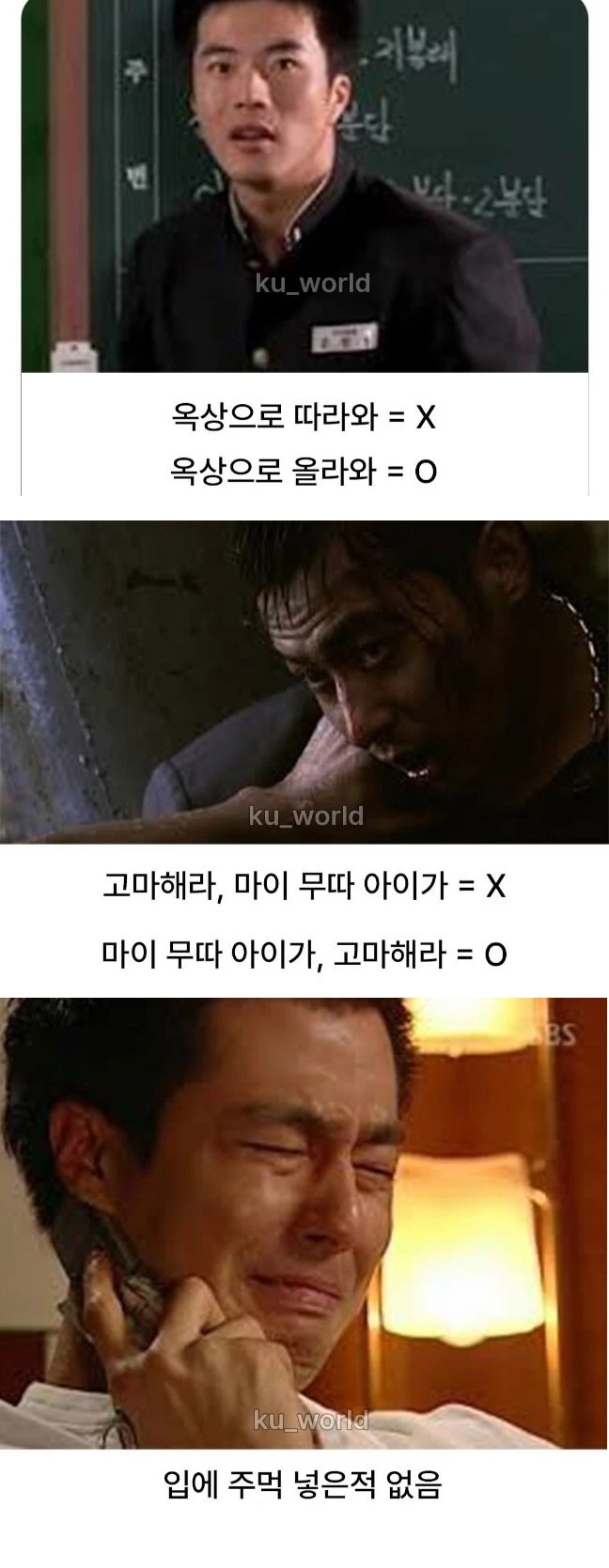 대한민국 3대 기억오류 | 인스티즈