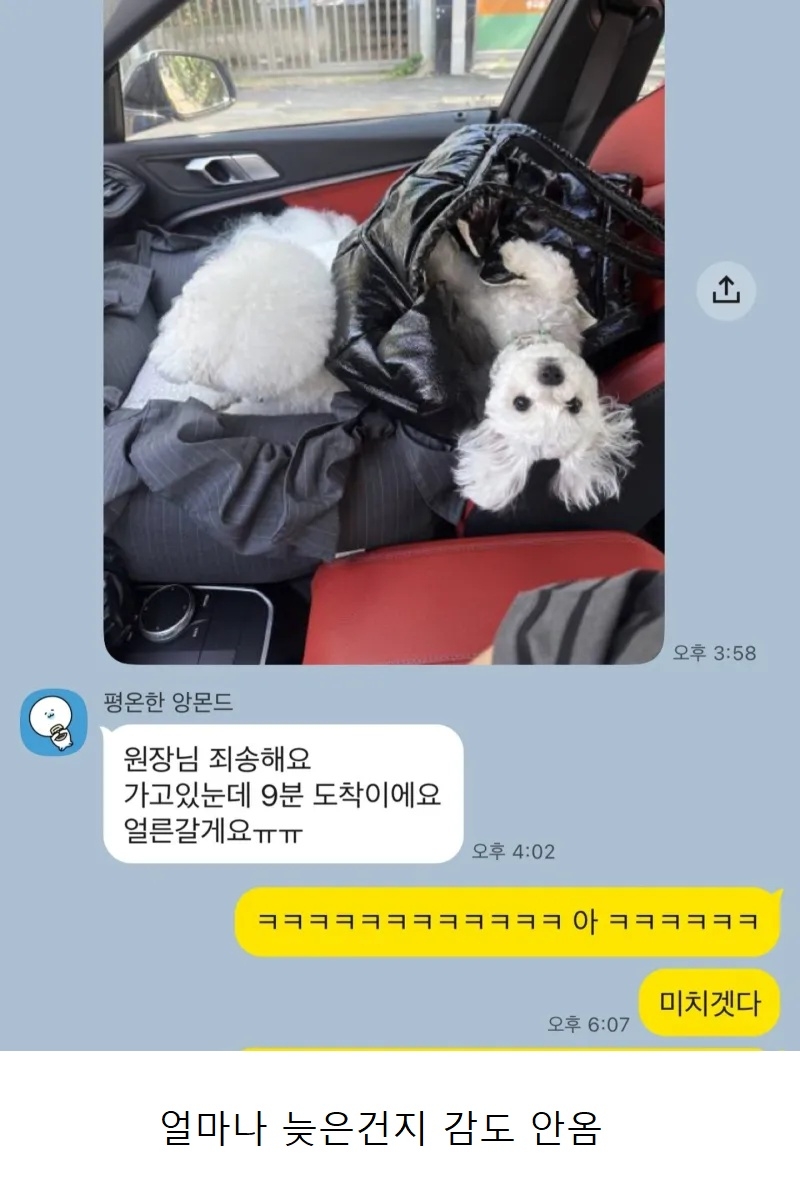 강아지유치원에 늦은 가나디 | 인스티즈