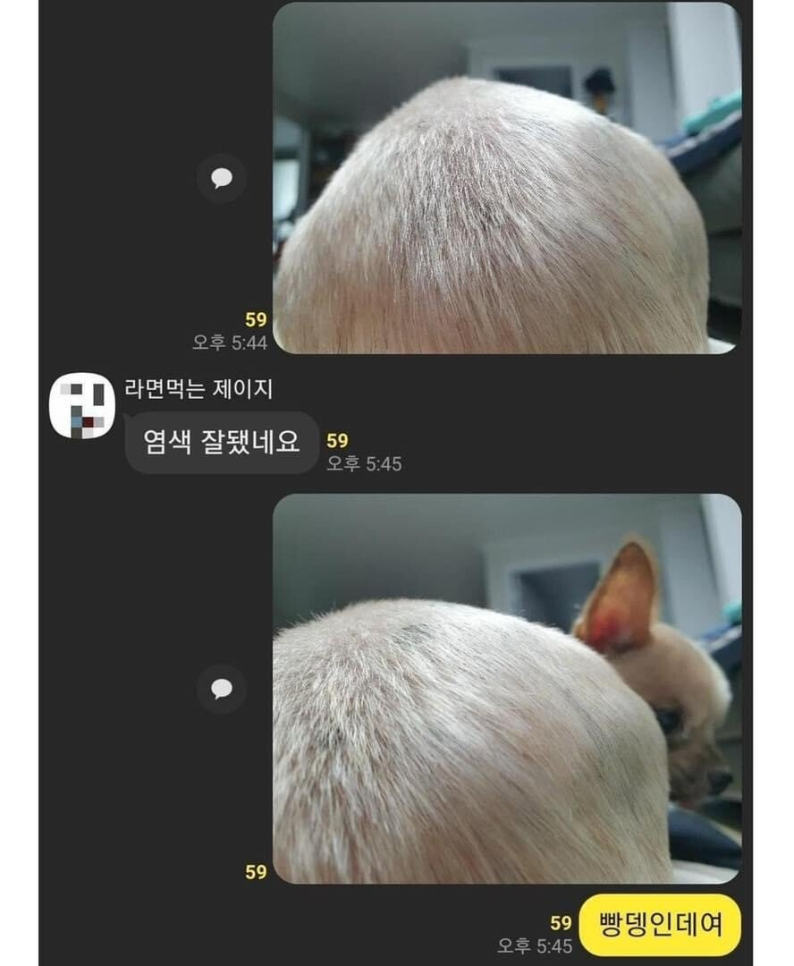 염색 잘됐네요 | 인스티즈