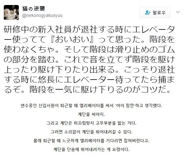 연수중인 신입사원인데 엘베쓰지 말라네요 | 인스티즈