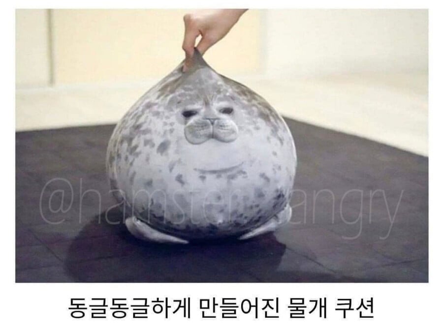 업체가 사과했지만 고객들은 더 좋아했다는 썰 | 인스티즈