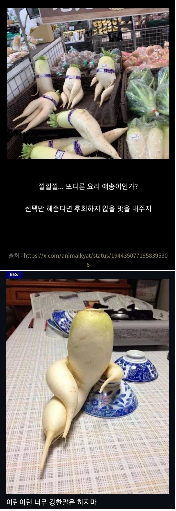 어이, 국물요리에는 우리 팀이 제일 최적이라고 | 인스티즈