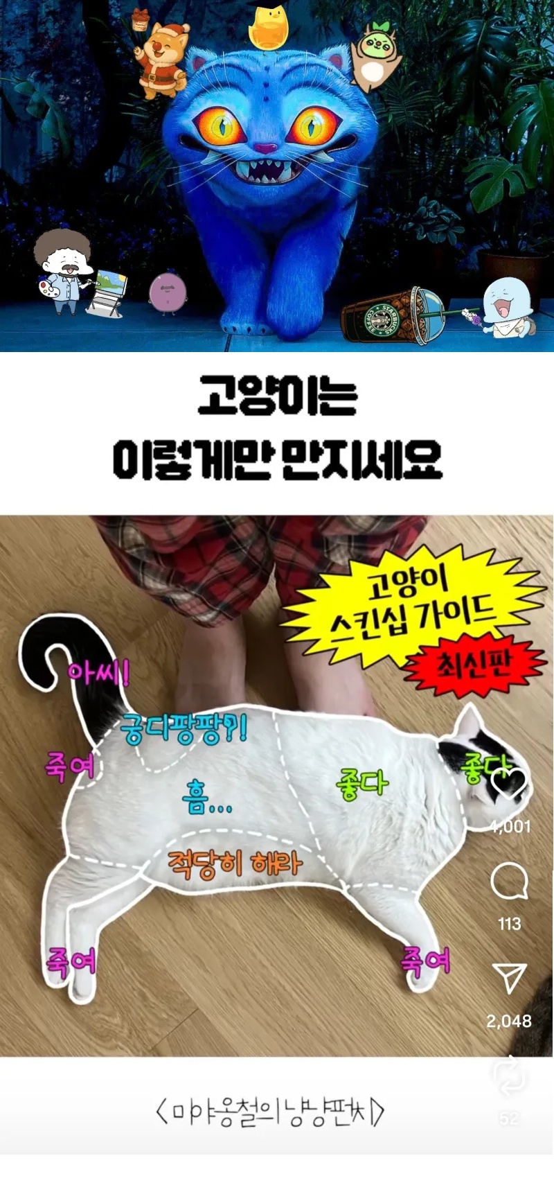 고양이 스킨십 가이드 | 인스티즈