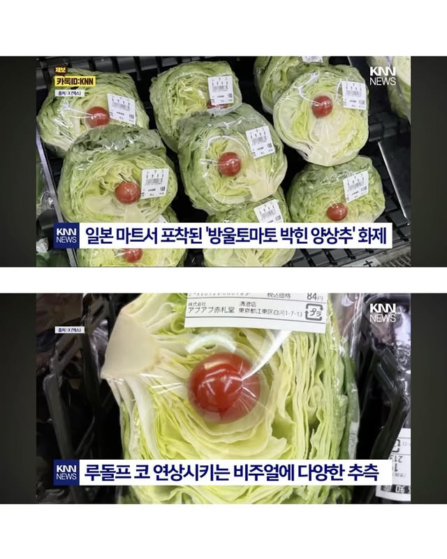 수박과 랩 사이에 방울토마토를 끼워넣은 이유 | 인스티즈