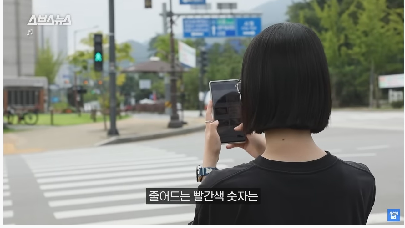 의정부시에서 전국 처음으로 도입한 신호등 | 인스티즈