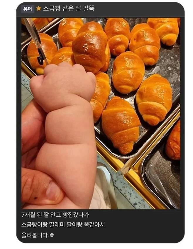 소금빵 딸내미 | 인스티즈