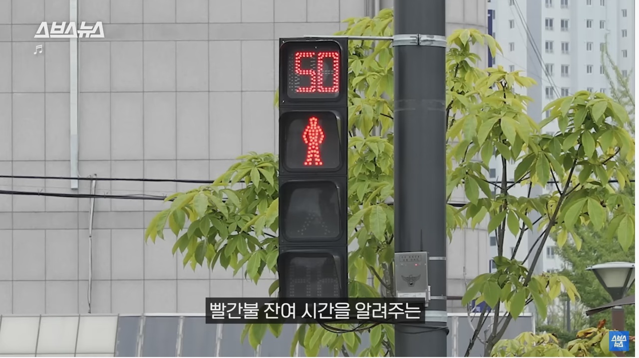 의정부시에서 전국 처음으로 도입한 신호등 | 인스티즈