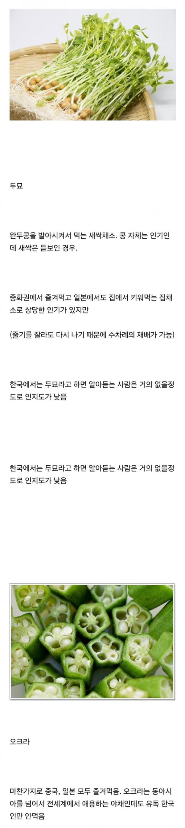 한국에 유독 인지도 없는 채소 두개 | 인스티즈