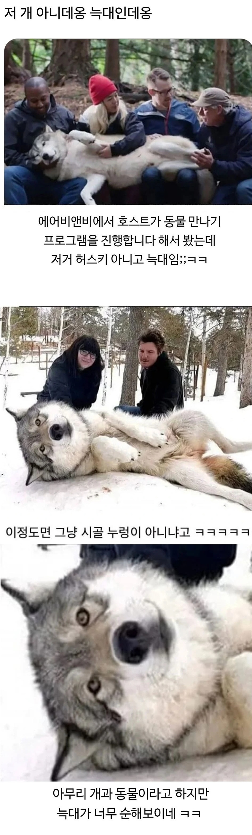 에어비앤비 호스트의 동물체험 | 인스티즈