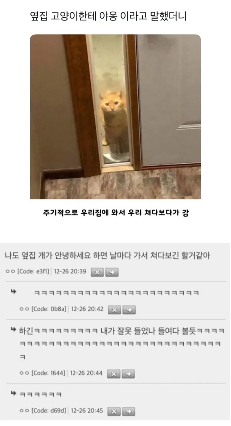 옆집 고양이에게 야옹이라 했더니 | 인스티즈
