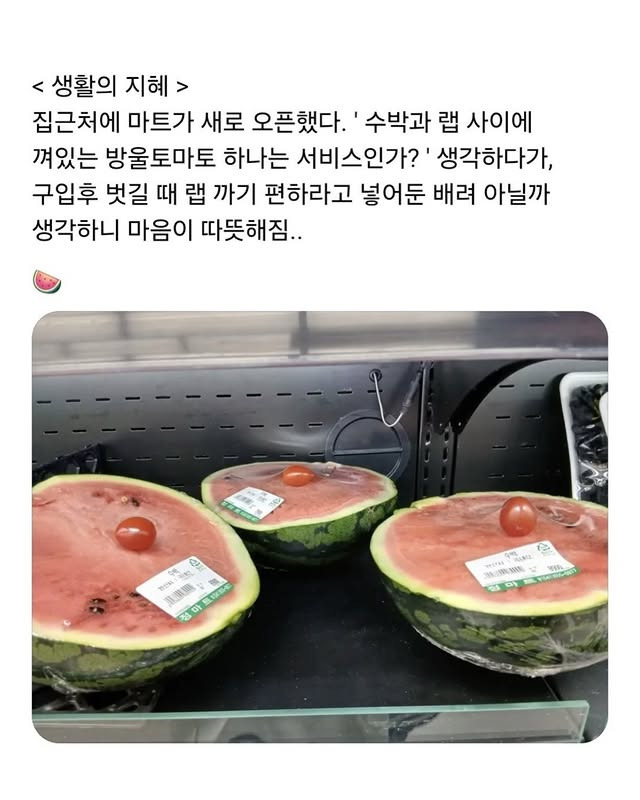 수박과 랩 사이에 방울토마토를 끼워넣은 이유 | 인스티즈