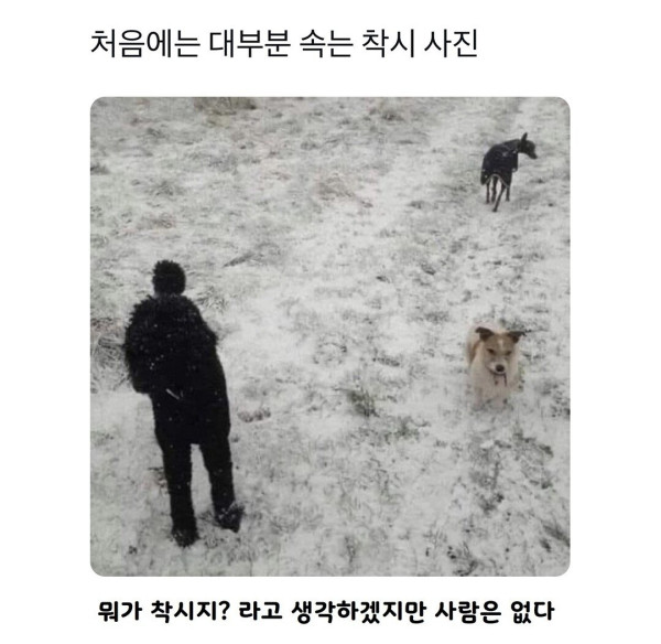 처음에는 대부분 속는 착시 사진 | 인스티즈