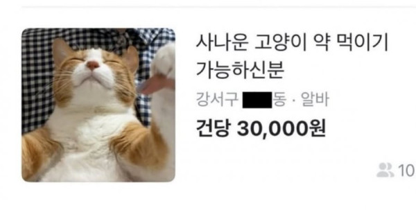 귀여운 당근 구인글 | 인스티즈