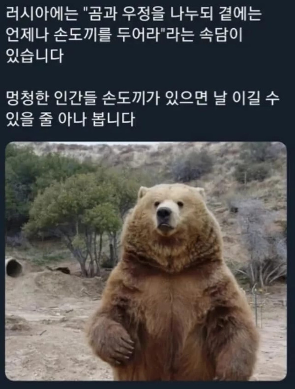 곰에 관한 러시아 속담 | 인스티즈