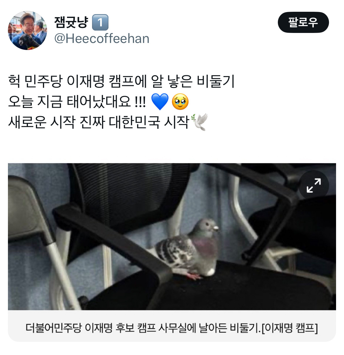 아웅드뎌 이재명 대통령 당선... 트위터 모음 2️⃣.twt (스압주의) | 인스티즈