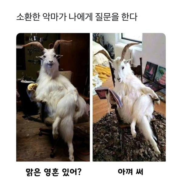 악마를 소환하였다 | 인스티즈