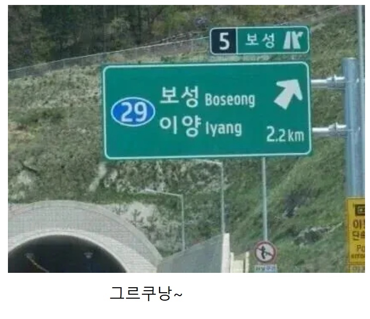 오빵~ 녹차로 유명한 동네가 어디양 | 인스티즈