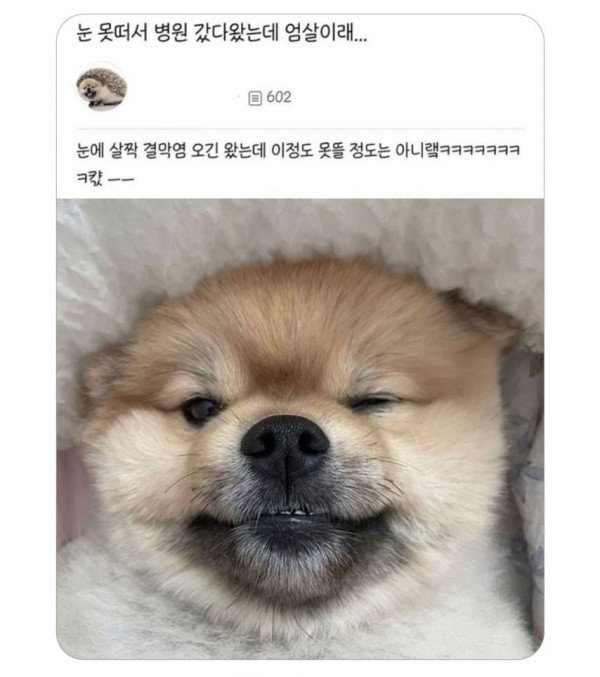 눈 못떠서 병원갔는데 엄살이래 | 인스티즈