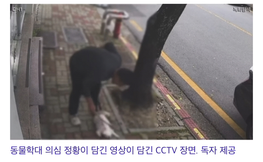 "강아지 질질 끌고 다니며 폭행”…반려견 학대 SNS 공분 확산 | 인스티즈