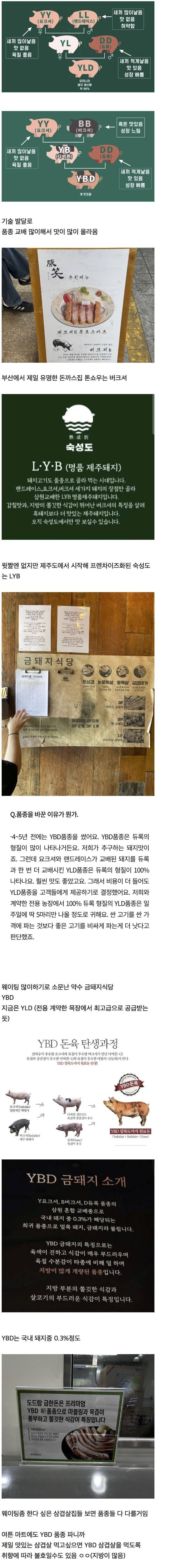 요즘 삼겹살이 웬만하면 맛있는 이유 | 인스티즈