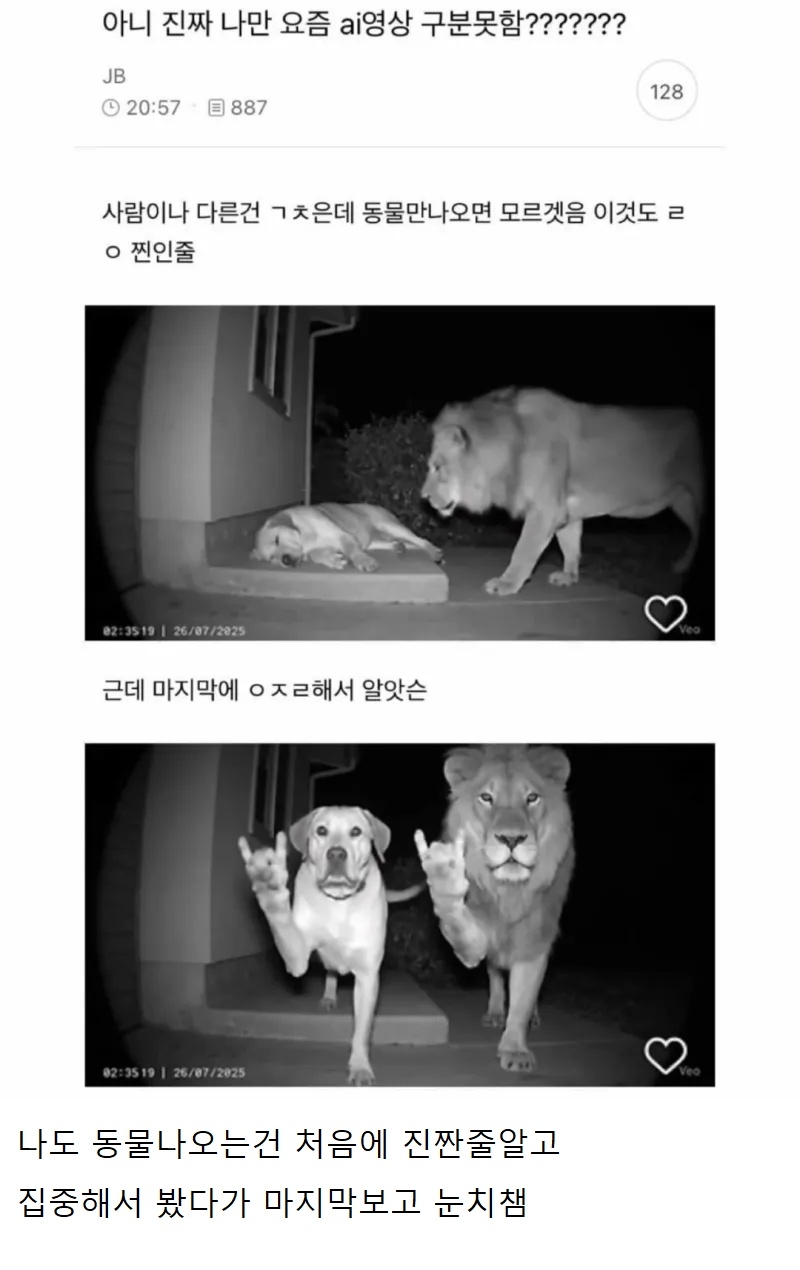 아니 진짜 나만 요즘 ai영상 구분못함???? | 인스티즈