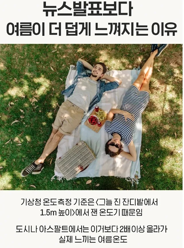체감온도가 기상청 온도보다 높게 느껴지는 이유 | 인스티즈