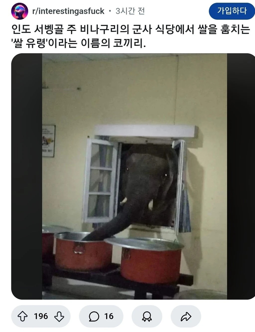 밤마다 짬밥을 훔쳐가는 | 인스티즈