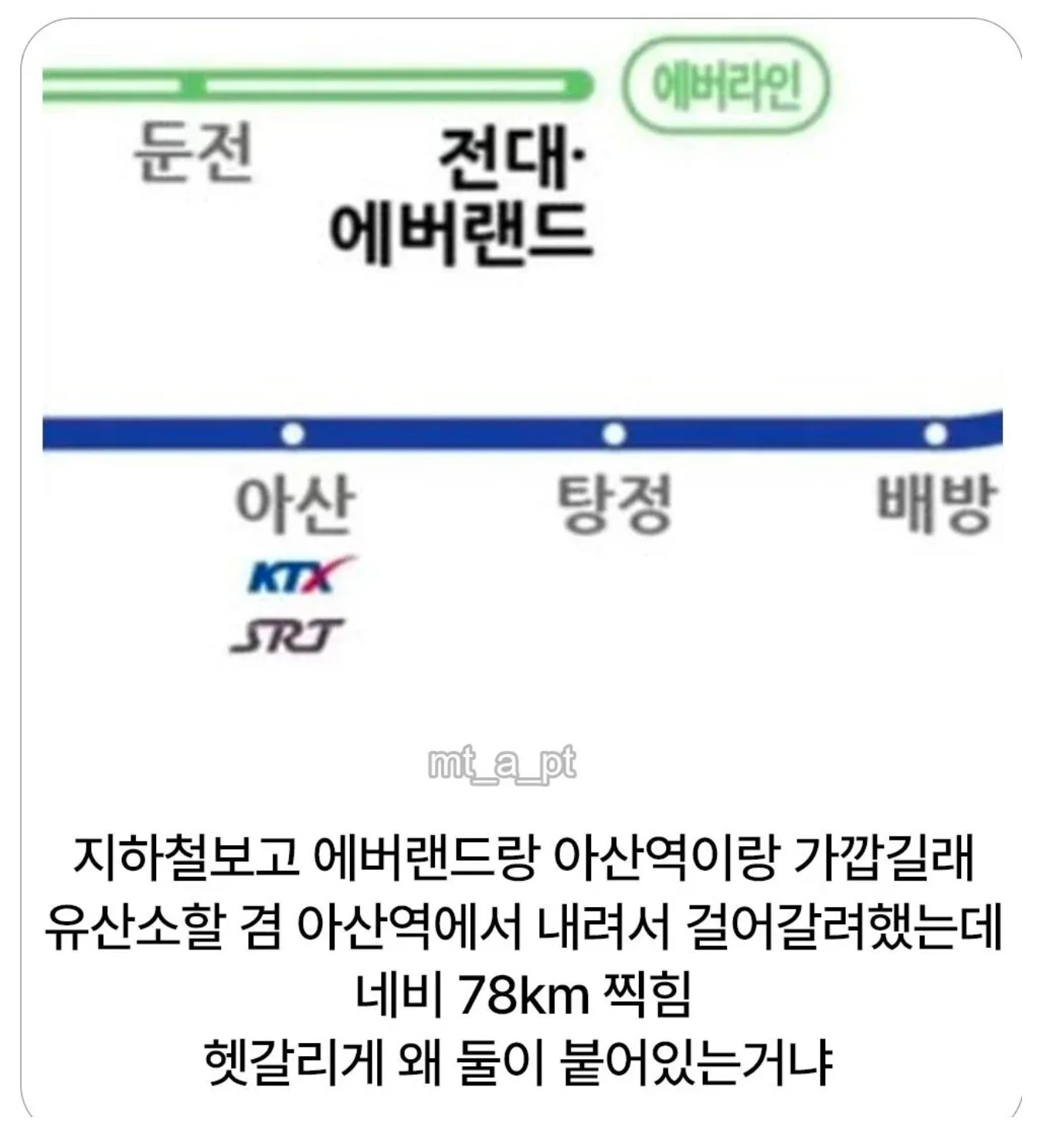 에버랜드 갈 때 다들 조심해라 | 인스티즈