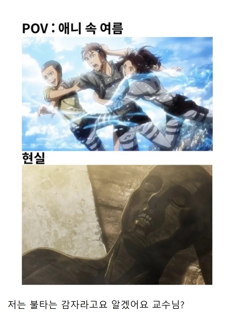 애니 속 여름 vs 현실 | 인스티즈