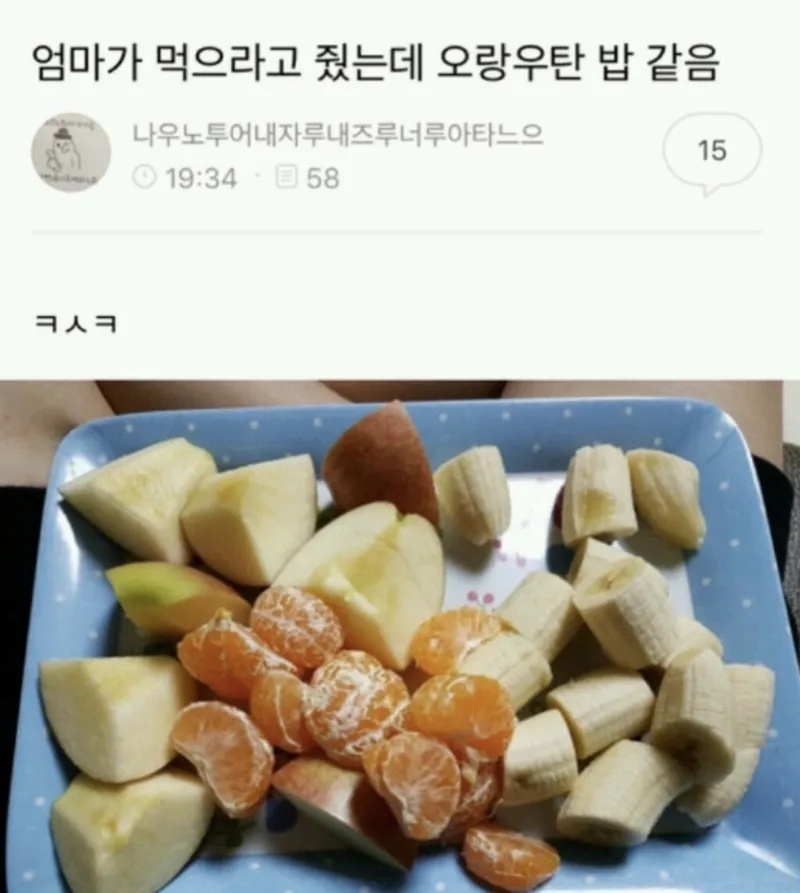 엄마가 먹으라고 줬는데 오랑우탄 밥같음 | 인스티즈