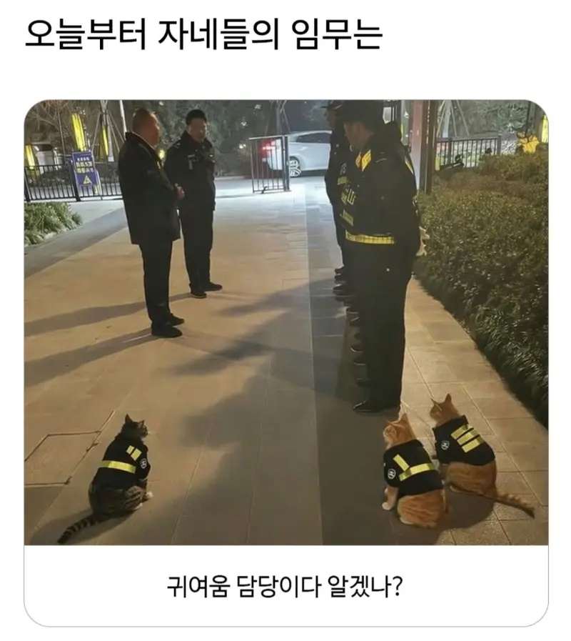 오늘부터 자네들의 임무는 | 인스티즈