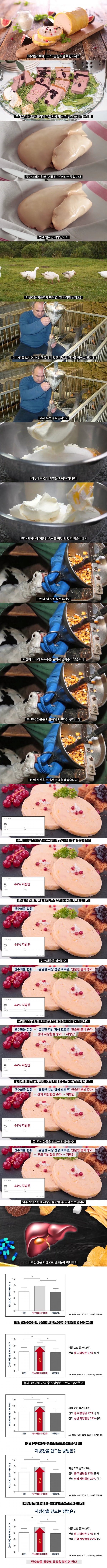 지방간 만드는 방법 | 인스티즈