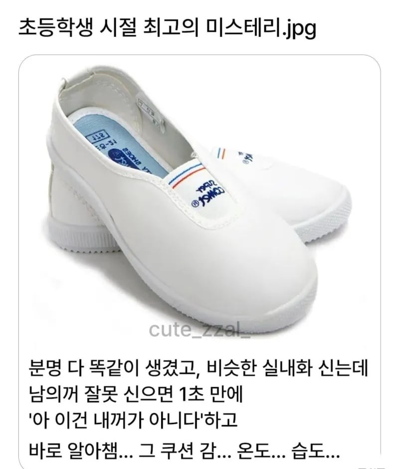 초등학생 시절 최고의 미스테리 | 인스티즈