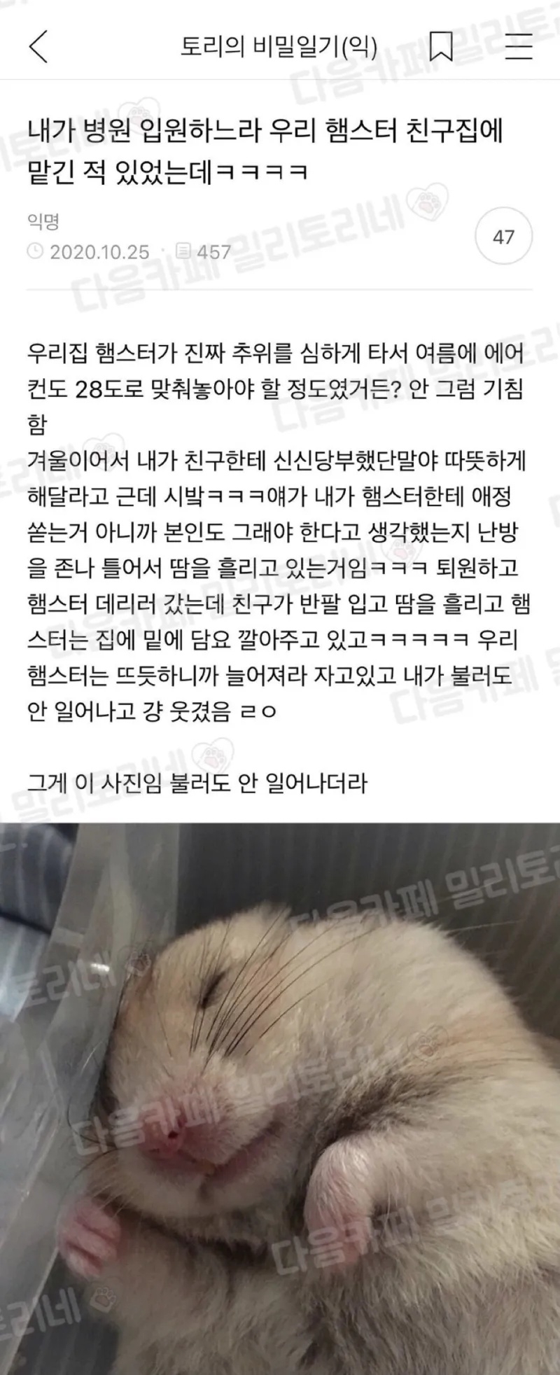 우리 햄스터 친구집에 맡긴 적 있었는데 | 인스티즈