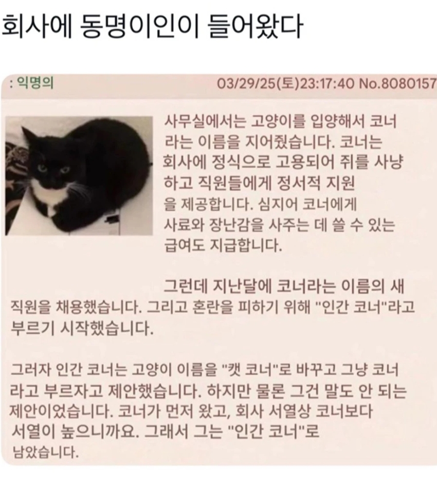 회사에 동명이인이 들어왔다 | 인스티즈